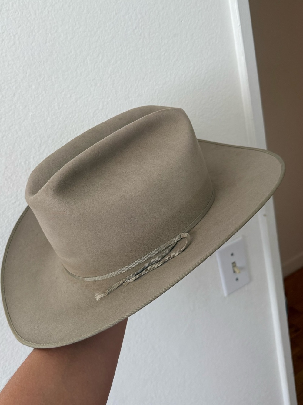 Resistol Cowboy Hat in Beige